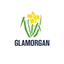 Glamorgan Women Flag