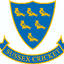 Sussex Women Flag
